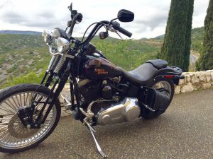 Sacoche Myleatherbikes Softail Crossbones